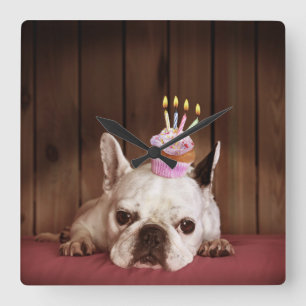 French Bulldog With Birthday Cupcake Square Wall Clock
