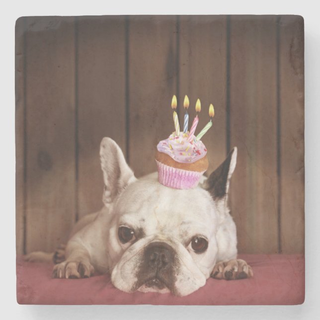 French Bulldog With Birthday Cupcake Stone Coaster (Front)