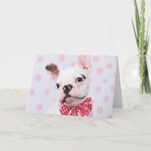 French Bulldog with Bow Tie Card