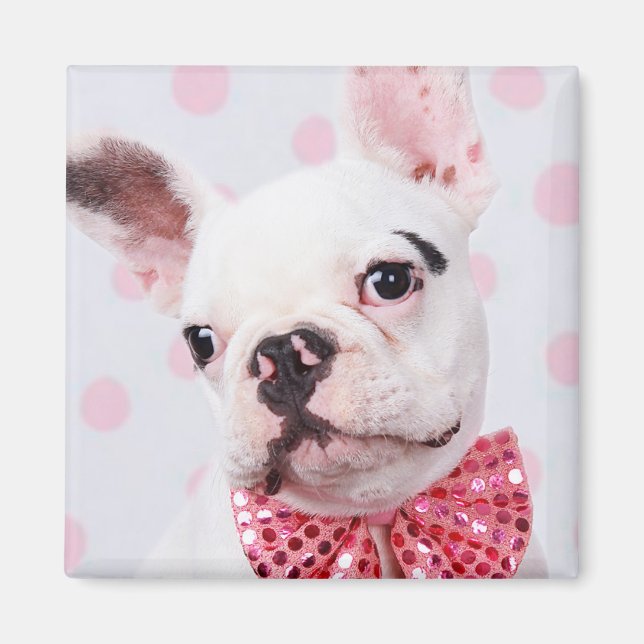 French Bulldog with Bow Tie Magnet (Front)
