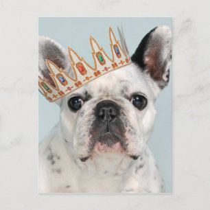 French Bulldog with Crown Postcard