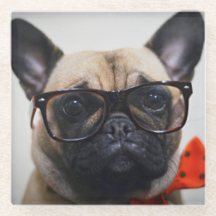 French Bulldog With Glasses And Bow Tie Glass Coaster