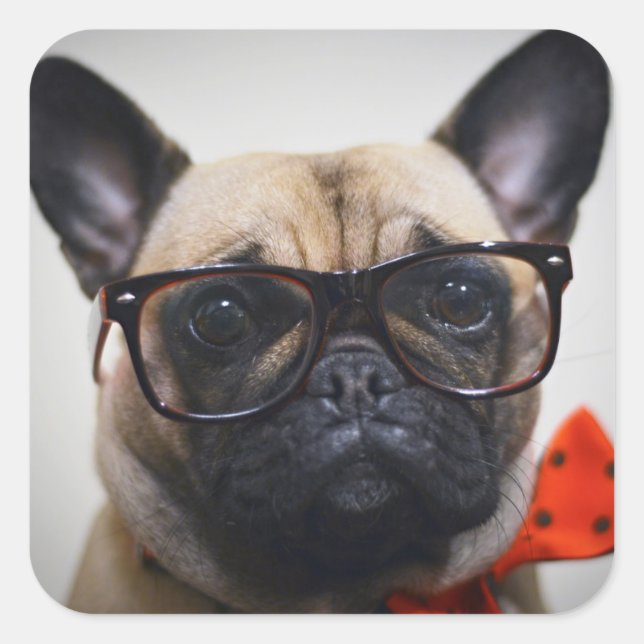 French Bulldog With Glasses And Bow Tie Square Sticker (Front)