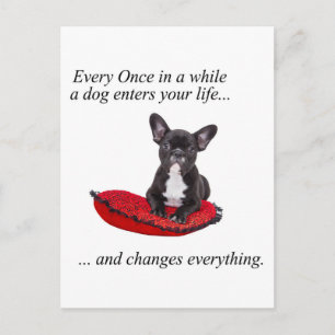 French Bulldog with heart and nice quote Postcard