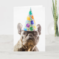 French Bulldog with Party Hat