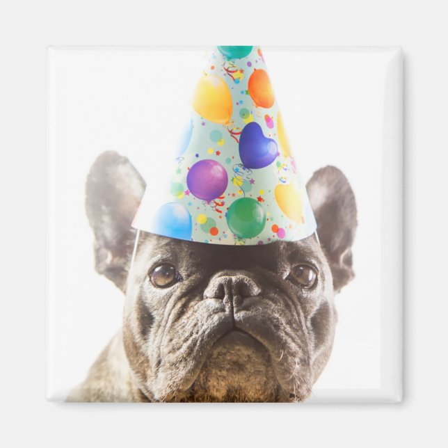 French Bulldog with Party Hat Magnet (Front)