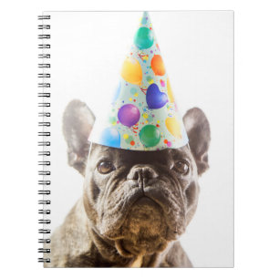 French Bulldog with Party Hat Notebook