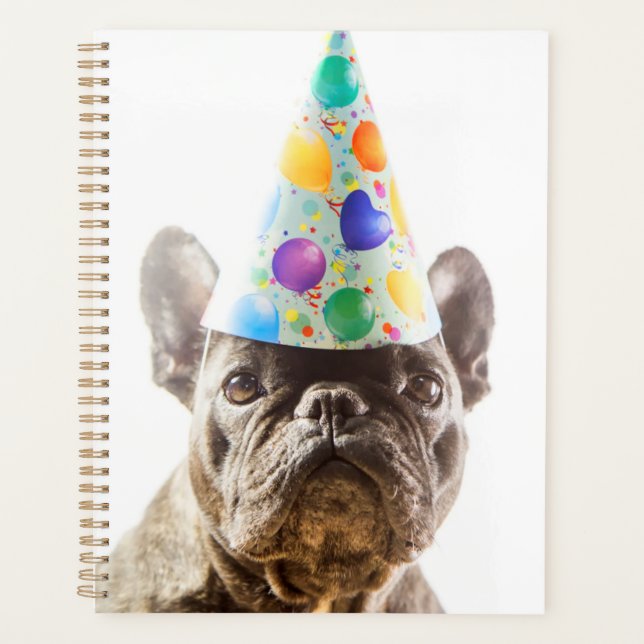 French Bulldog with Party Hat Planner (Front)