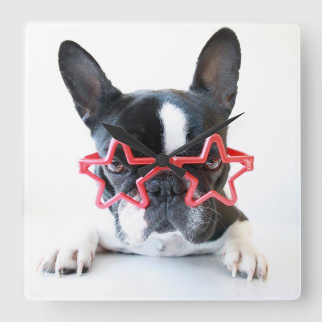 French Bulldog With Red Star Glasses Square Wall Clock (Front)