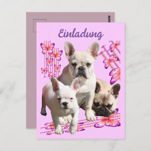 French bulldog with three bulldoggs postcard