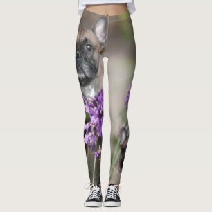 French Bulldogge Leggings