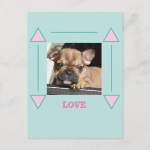 French Bulldogge Postcard