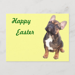 French Bulldogge postcard