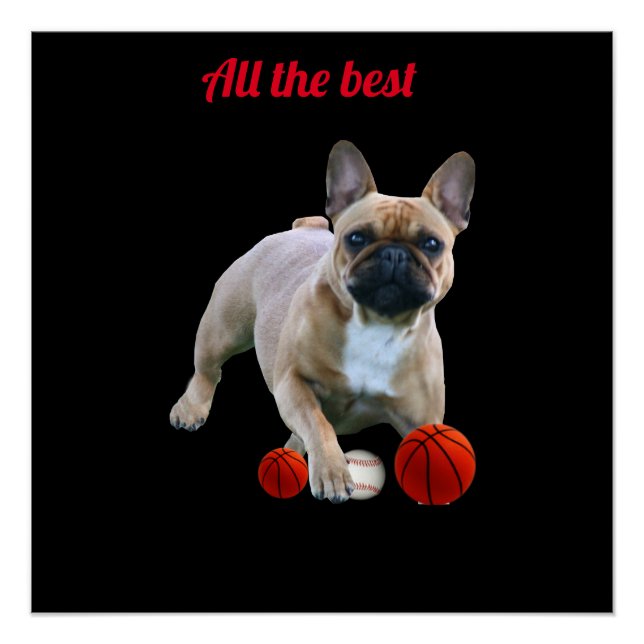 French Bulldogge Poster (Front)