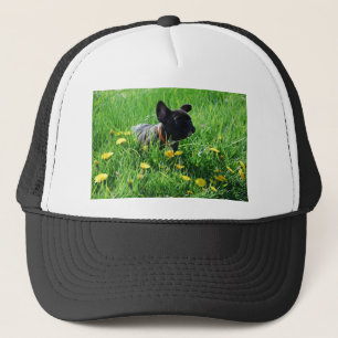 French Bulldoggen cap