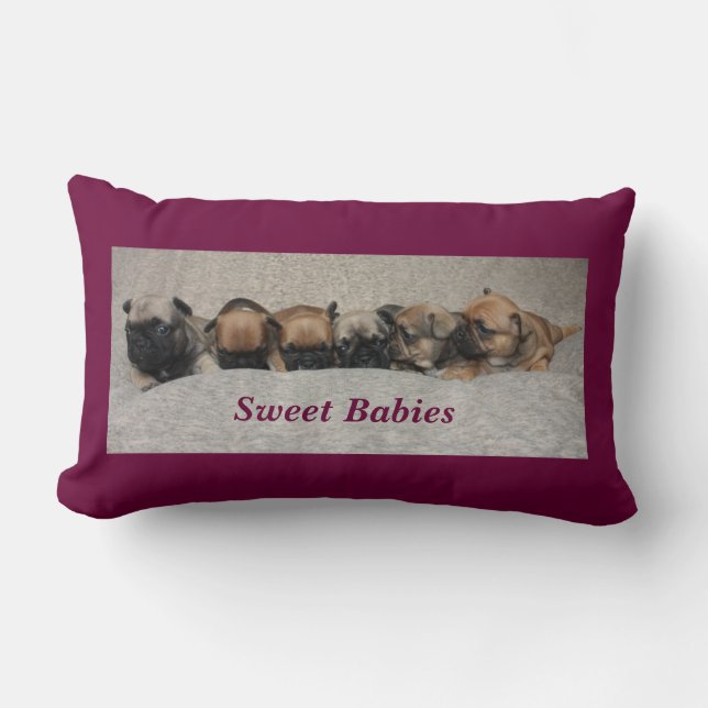 French bulldoggen cushions (Front)