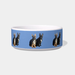 French Bulldoggen Hunde apf Napf Bowl