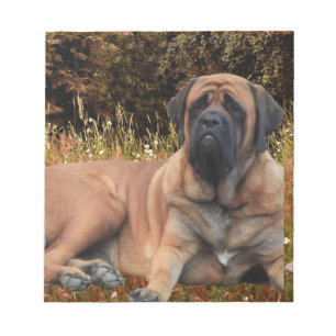 French Bulldoggen Mastiff note pad