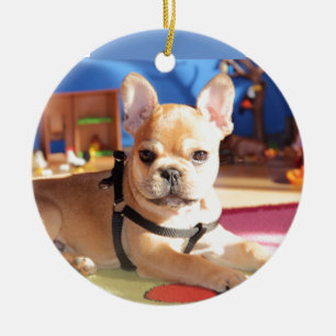 French Bulldoggen Ornament