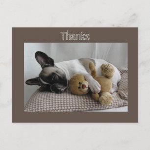 French Bulldoggen postcard "Thanks"