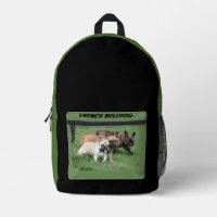 French bulldoggen