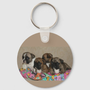 French Bulldoggen puppies key Ring