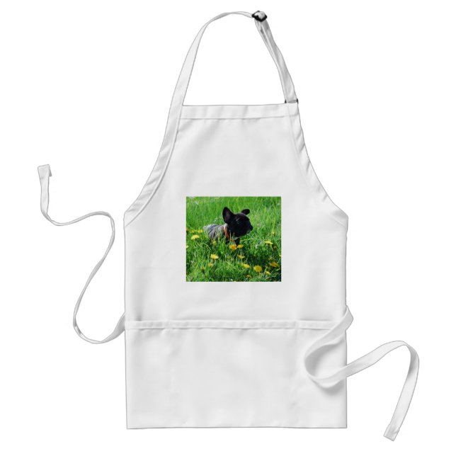 French Bulldoggen Standard Apron (Front)