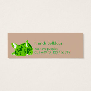 French Bulldogs