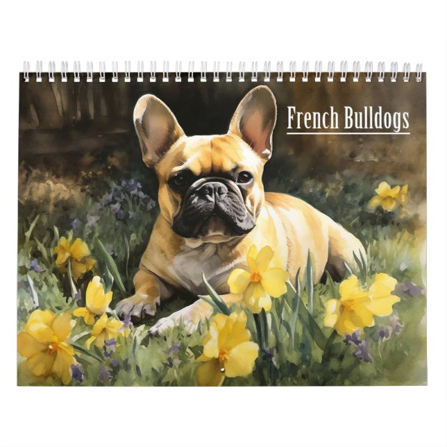 French Bulldogs Calendar, any year Calendar (Cover)