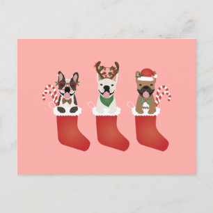 French Bulldogs Christmas Stockings Postcard