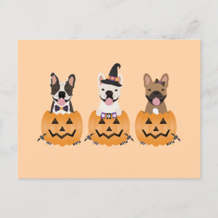 French Bulldogs Halloween Pumpkin Postcard