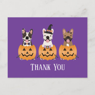 French Bulldogs Halloween Thank You Postcard