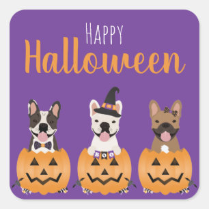 French Bulldogs Happy Halloween Square Sticker