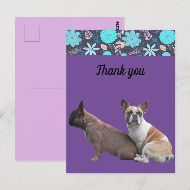 French Bulldogs thank you French Bulldog Postcard (Front/Back)