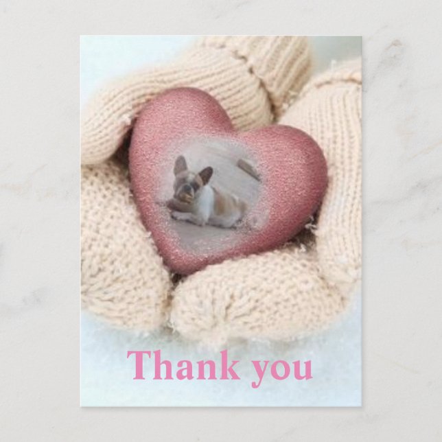 French Bulldogs thank you postcard (Front)
