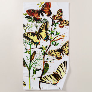 French Butterflies Beach Towel