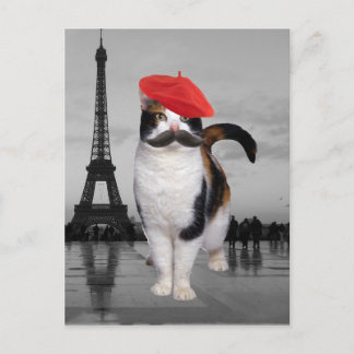 French Cat in Paris Postcard