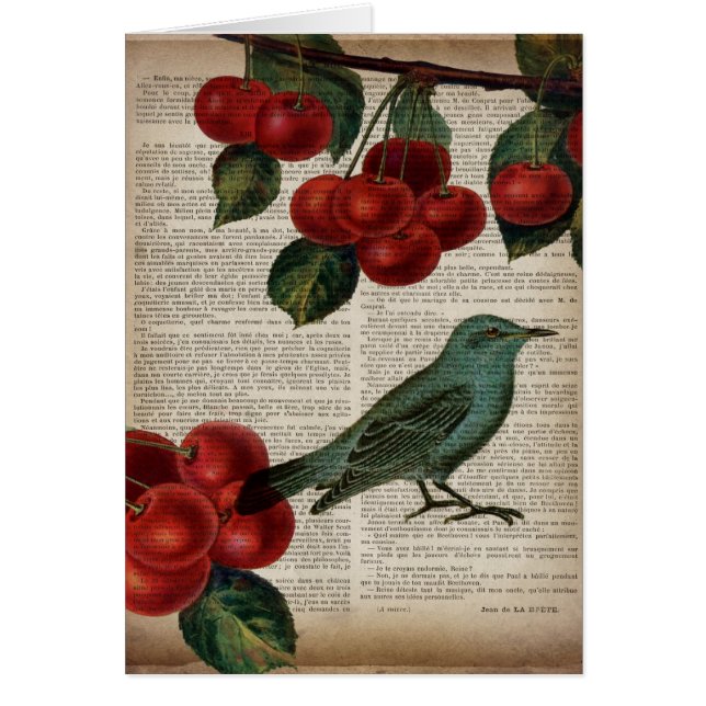 french country bird retro botanical red cherry (Front)