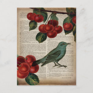 french country bird retro botanical red cherry postcard