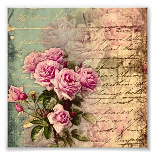 French country chic,shabby chic, pink roses, flora photo print (Front)