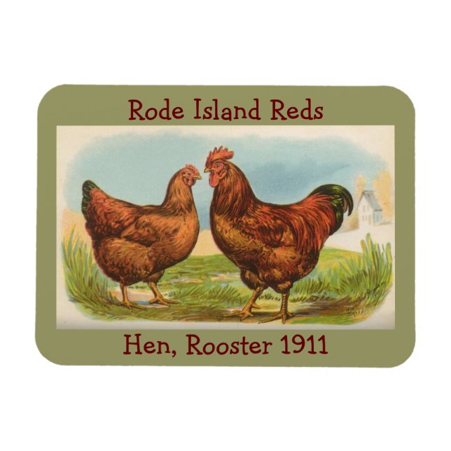 French Country Hen, Rooster Flexible Magnet (Horizontal)