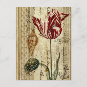 french country scripts botanical spring tulip postcard