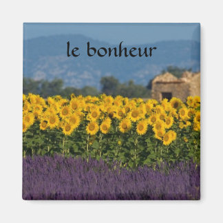 french countryside magnet