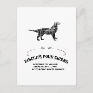 French Dog, Antique Dog Biscuit Ad turned fashion Postcard