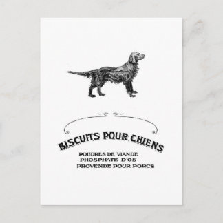 French Dog, Antique Dog Biscuit Ad turned fashion Postcard