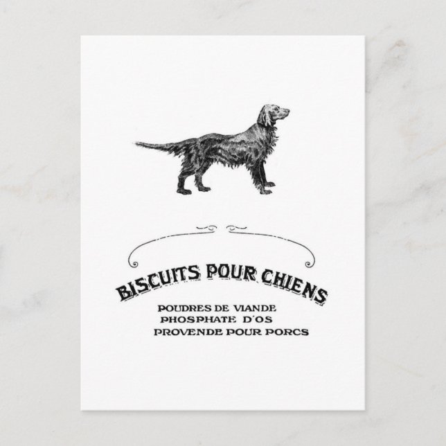 French Dog, Antique Dog Biscuit Ad turned fashion Postcard (Front)