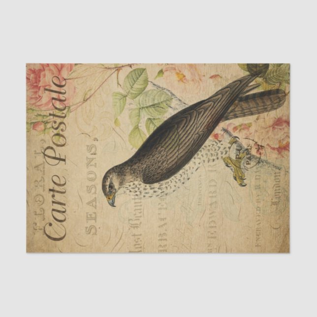 French Ephemera Buzzard Bird of Prey Decoupage Tissue Paper (Front)