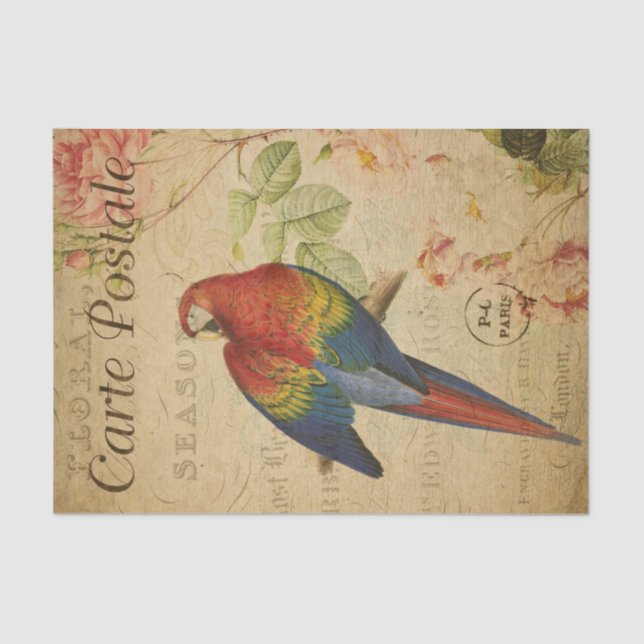 French Ephemera Red Yellow Macaw Floral Decoupage  Tissue Paper (Front)