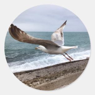 French Etretat seagull Classic Round Sticker