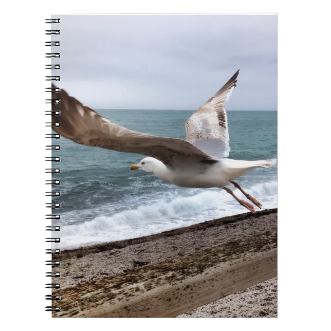 French Etretat seagull Notebook (Front)